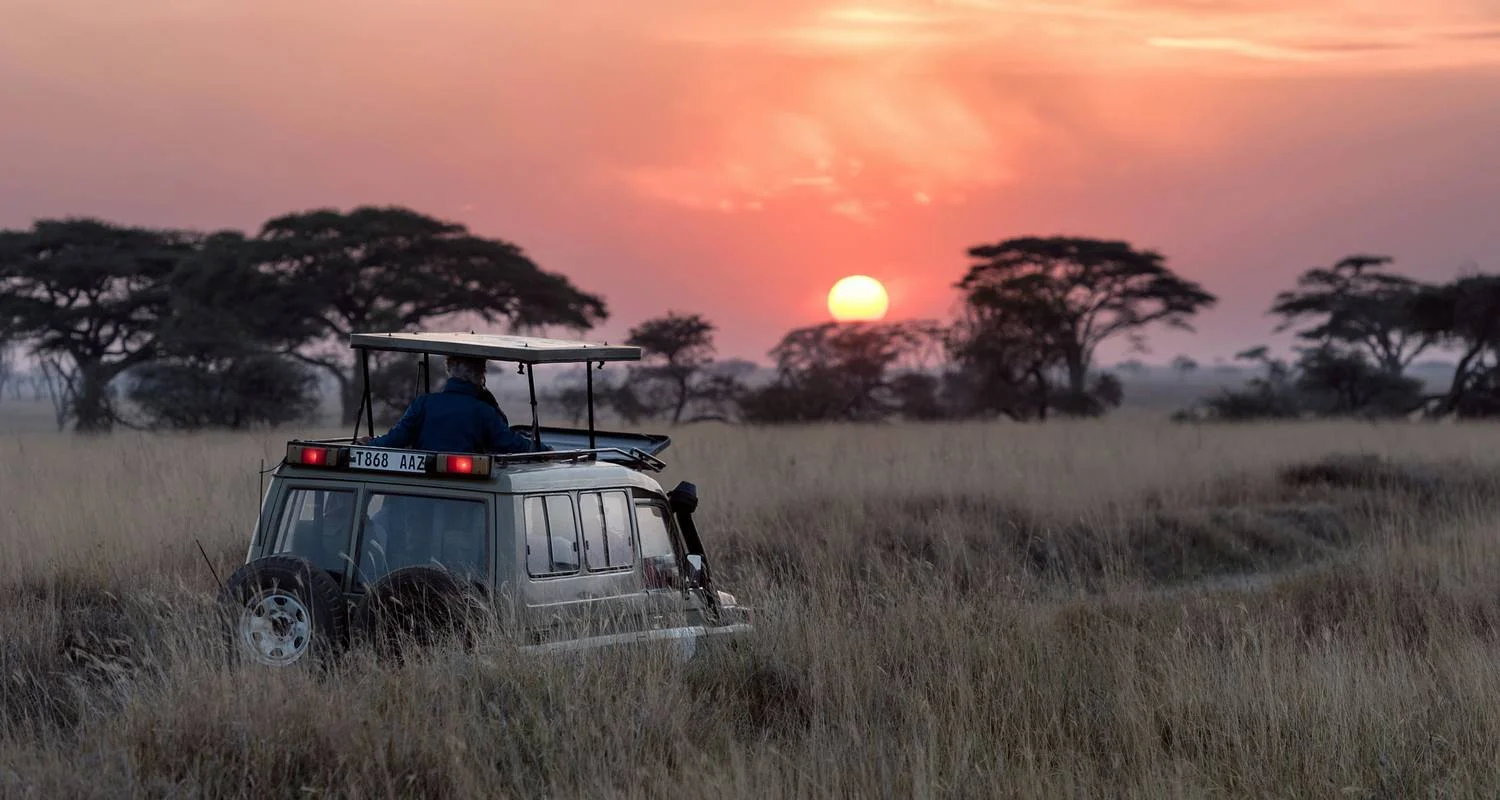 Explore 6-Day Big Five Safari for 6 days with African Breeze Safaris and discover unforgettable experiences - Photo 2