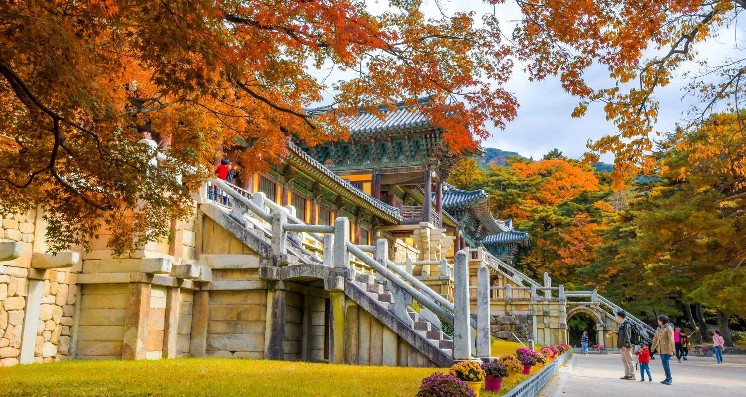 Explore 2025 Discover Eastern Korea in 4days:  A Curated All-Inclusive Experience for 4 days with HanaTour ITC and discover unforgettable experiences - Photo 10