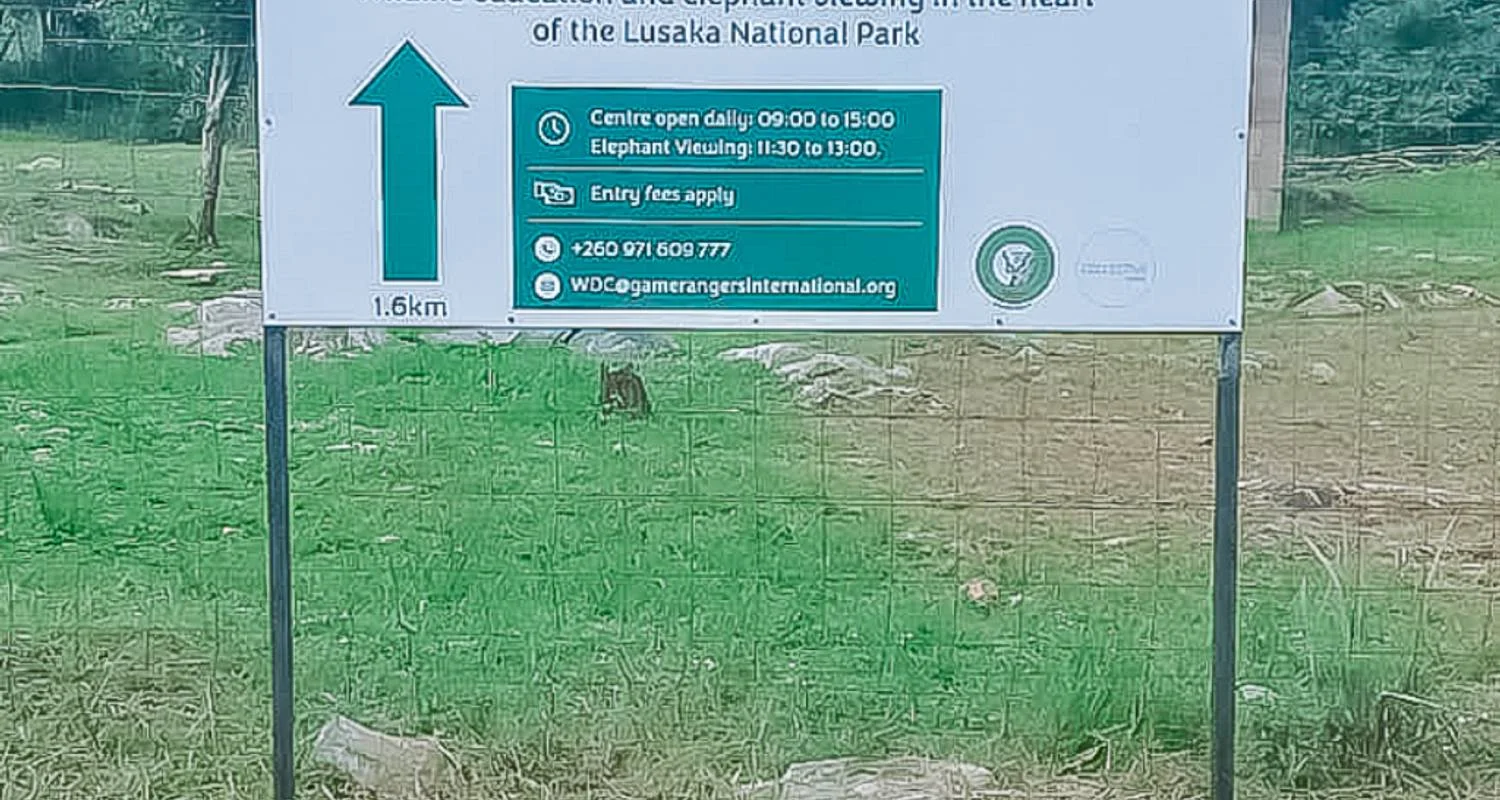 Explore Half-Day Zambia Wildlife Safari for 1 days with Across Africa Tours & Travel and discover unforgettable experiences - Photo 2