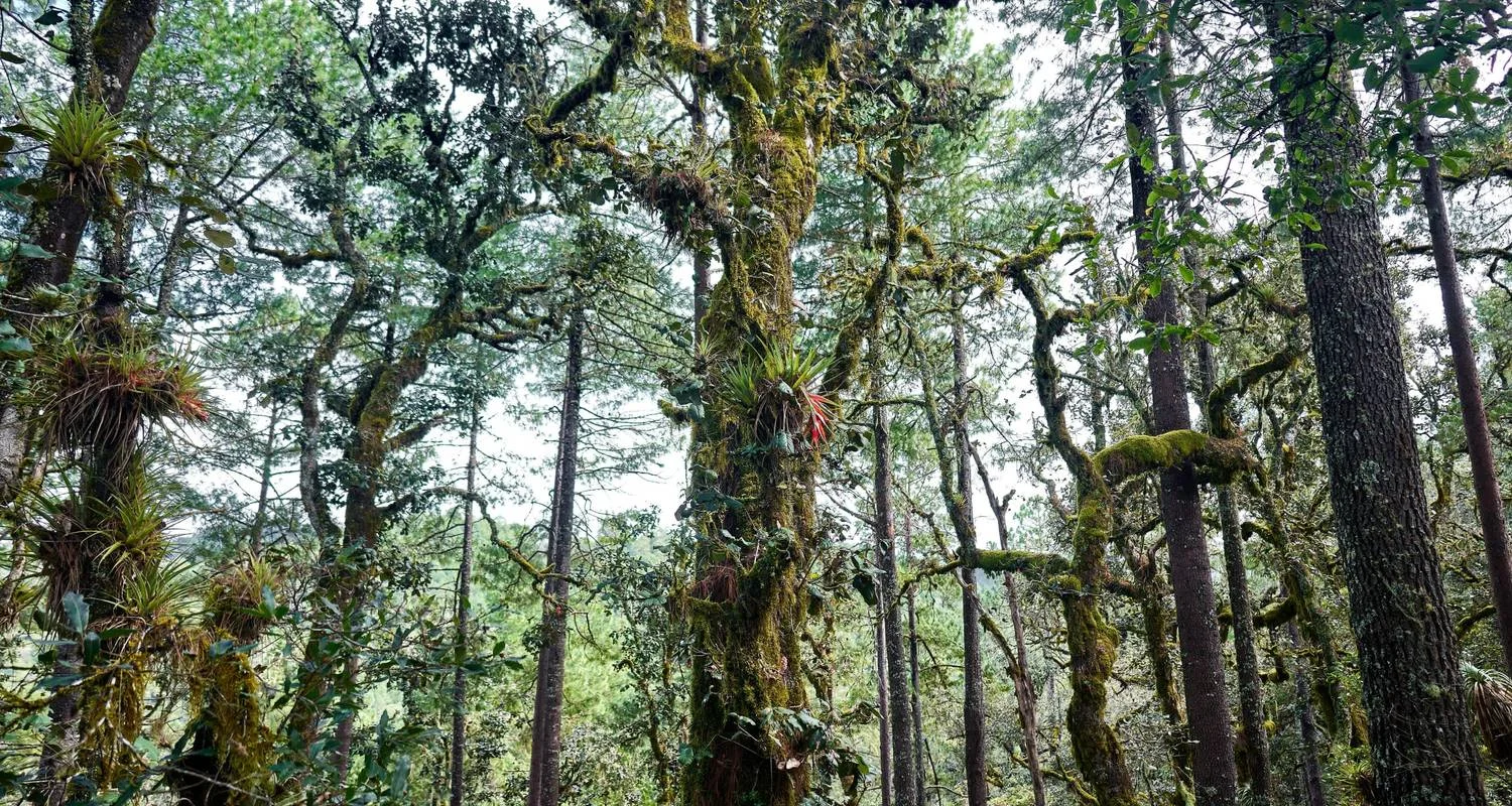 Explore The Enchanting Sierra Norte Trek 3D/2N for 3 days with Bamba Travel and discover unforgettable experiences - Photo 2