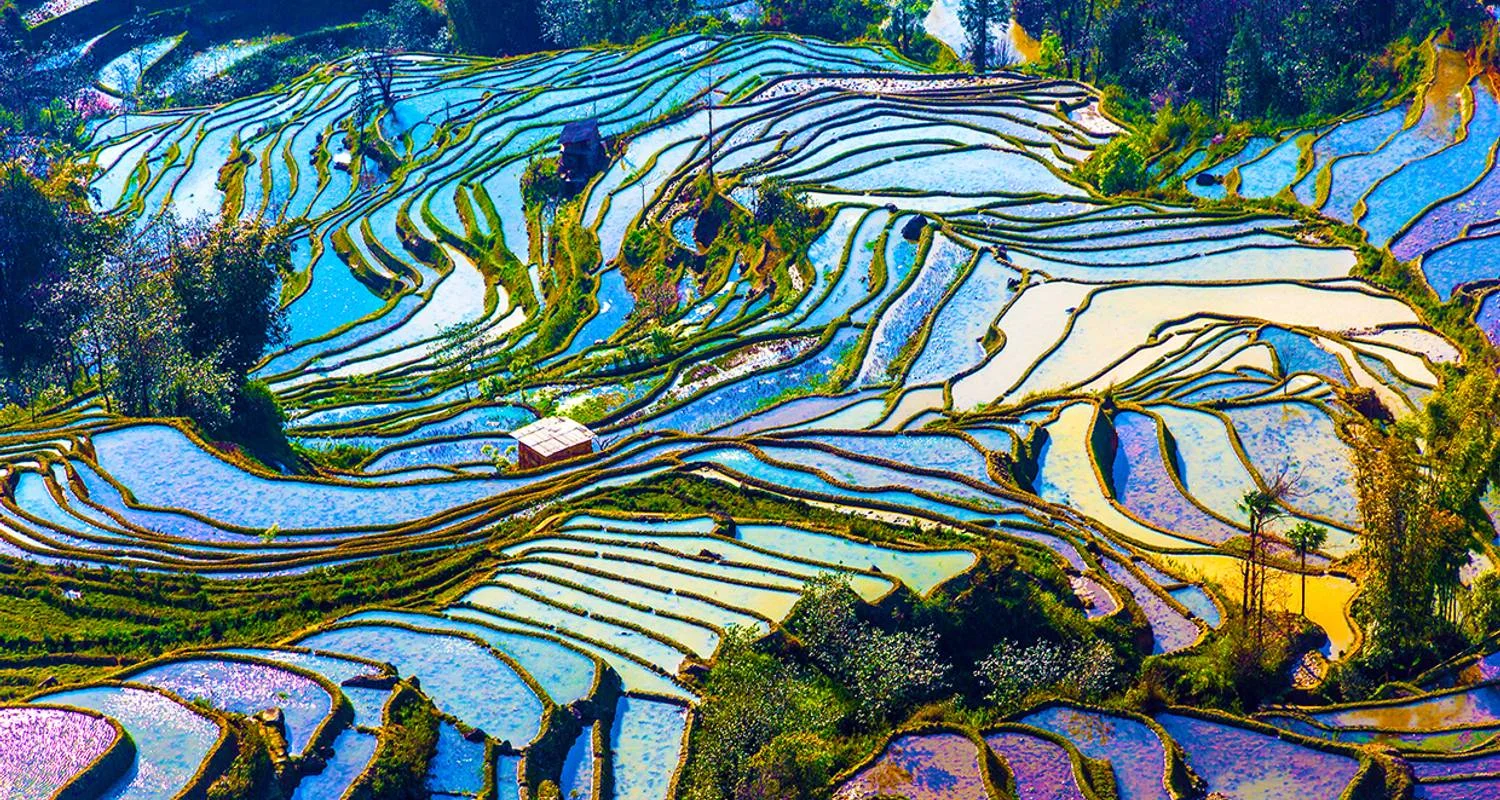 Explore Experience traditional southern China for 18 days with Gebeco and discover unforgettable experiences - Photo 2