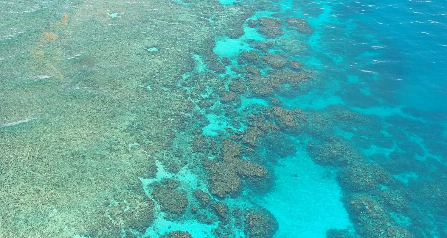 Explore Tropical Reef and Rainforest (Short Break) for 4 days with AAT Kings and discover unforgettable experiences - Photo 2