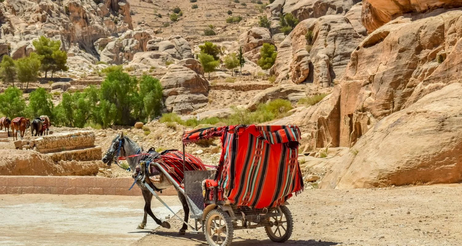 Explore Jordan Classical Tour from Tel Aviv or Jerusalem, 4 Days for 4 days with Bein Harim Tourism Services  and discover unforgettable experiences - Photo 2