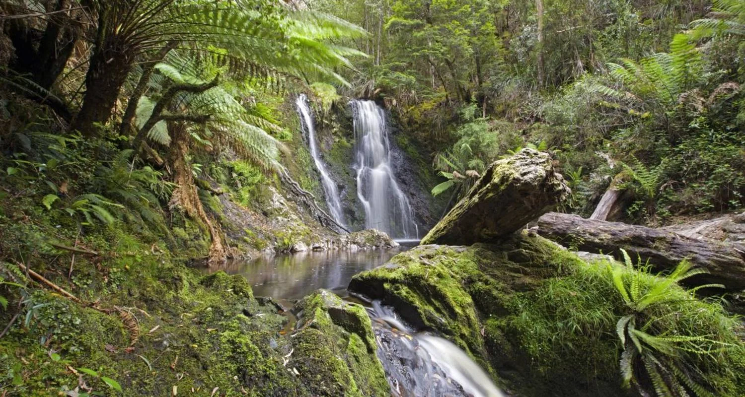 Explore Highlights of Tasmania's West Coast for 5 days with DIAMIR Erlebnisreisen and discover unforgettable experiences - Photo 2