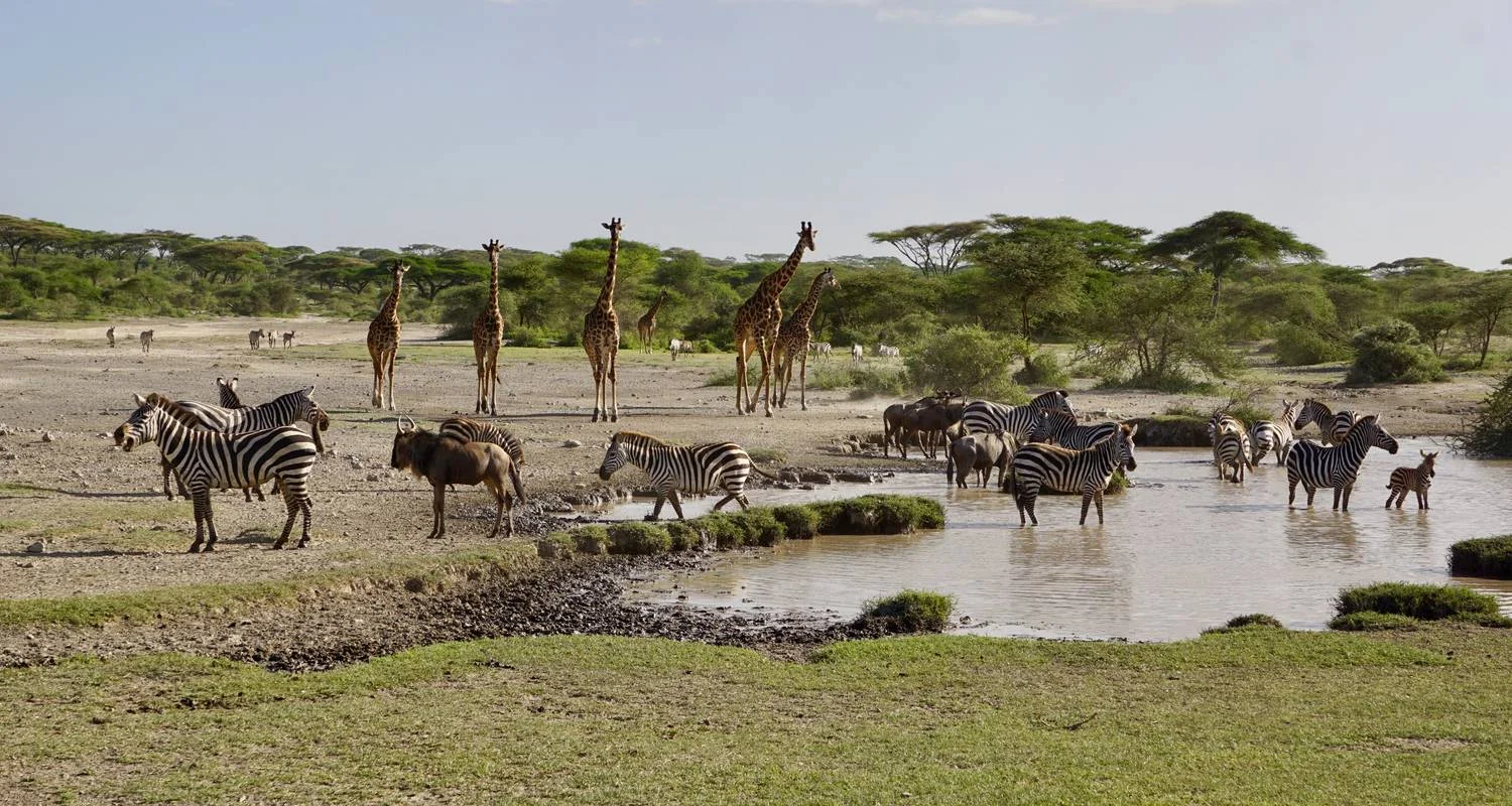 Explore Tanzania: The Serengeti & Beyond with Zanzibar for 12 days with Globus and discover unforgettable experiences - Photo 2