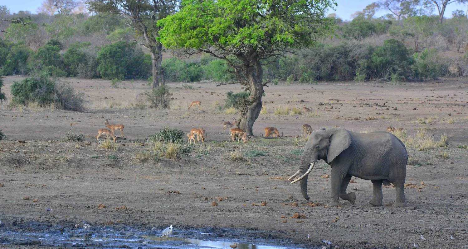 Explore 9 Day Kruger, Namibia and Vic Falls for 9 days with Africa Moja Tours & Transfers and discover unforgettable experiences - Photo 2