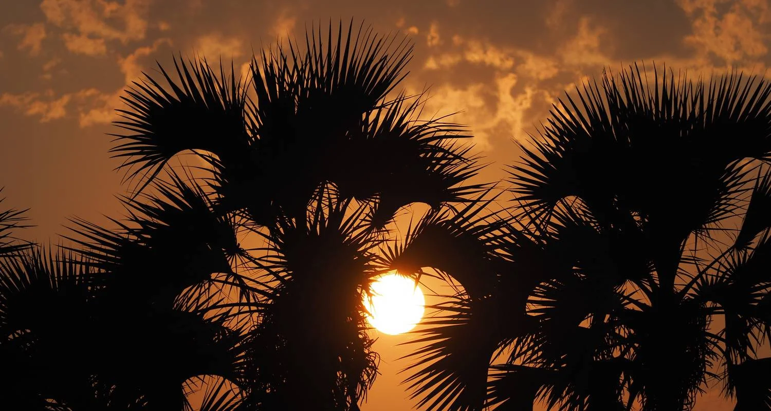 Explore 3 Days Best Ever Kruger National Park Safari from Cape Town for 3 days with Africa Moja Tours & Transfers and discover unforgettable experiences - Photo 2