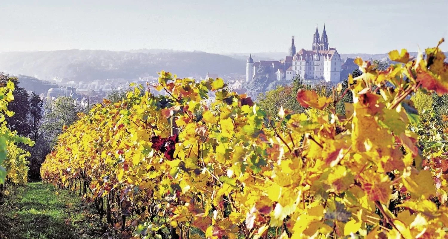 Explore The Elbe Cycle Route classic for 7 days with DERTOUR and discover unforgettable experiences - Photo 2