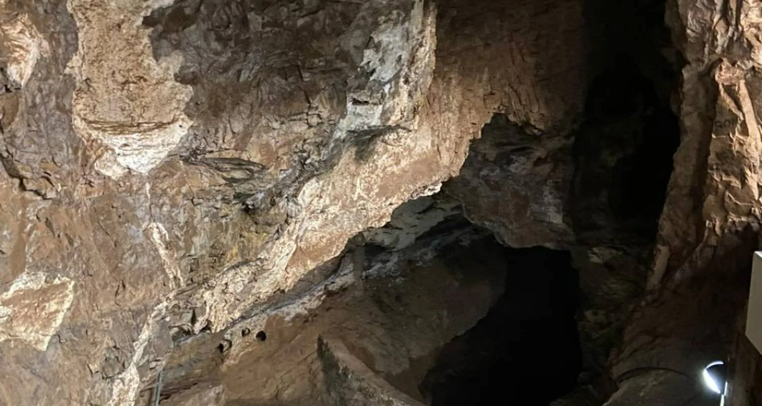 Explore Cradle of HumanKind – Maropeng and Sterkfontein Caves for 1 days with Africa Moja Tours & Transfers and discover unforgettable experiences - Photo 2