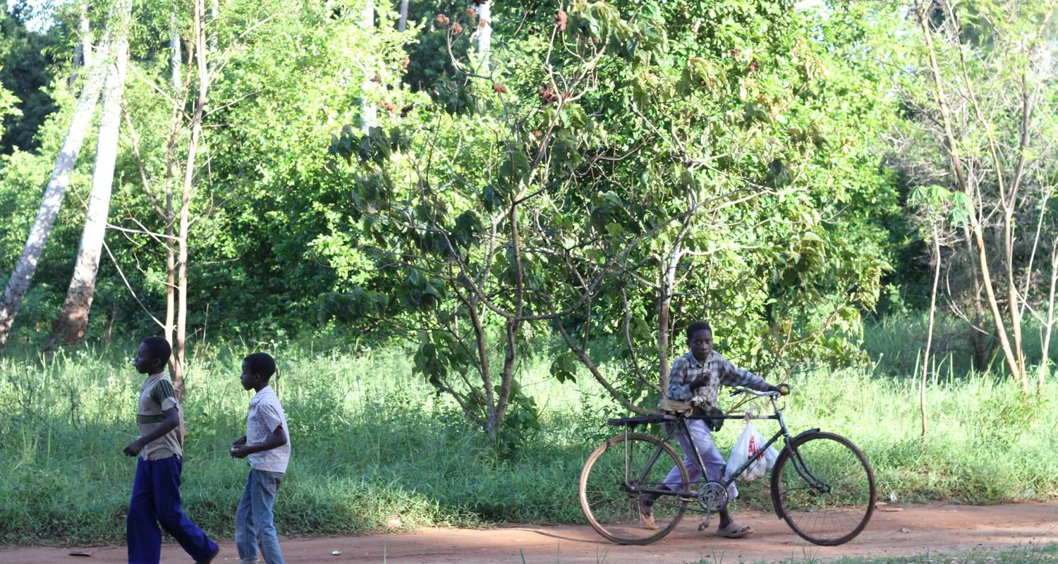 Explore Nairobi to Dar es Salaam 16 Days Overlanding Camping for 16 days with Africa Travel Co. and discover unforgettable experiences - Photo 2