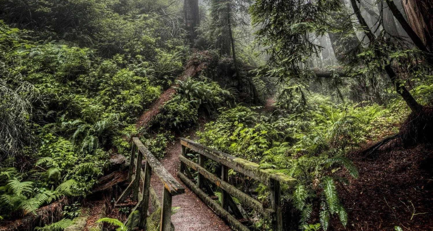 Explore Tribal Trails of Odisha: Exploring Cultural Bazaars & Temples for 9 days with Agora Voyages OPC Pvt Ltd and discover unforgettable experiences - Photo 2