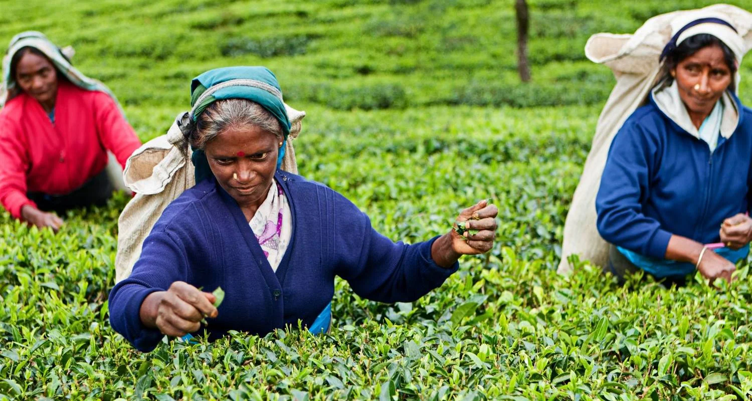 Explore Pearl Island Highlights for 10 days with Exotic Perla and discover unforgettable experiences - Photo 2