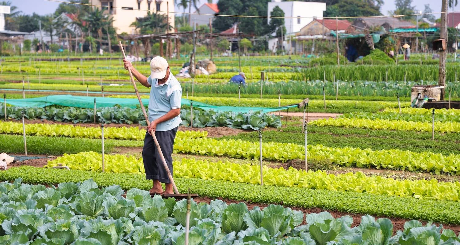 Explore Romantic Vietnam Escape: Sunset Kayaking, Beach Relaxation & Floating Markets for 14 days with Footsteps Indochina Travel and discover unforgettable experiences - Photo 2