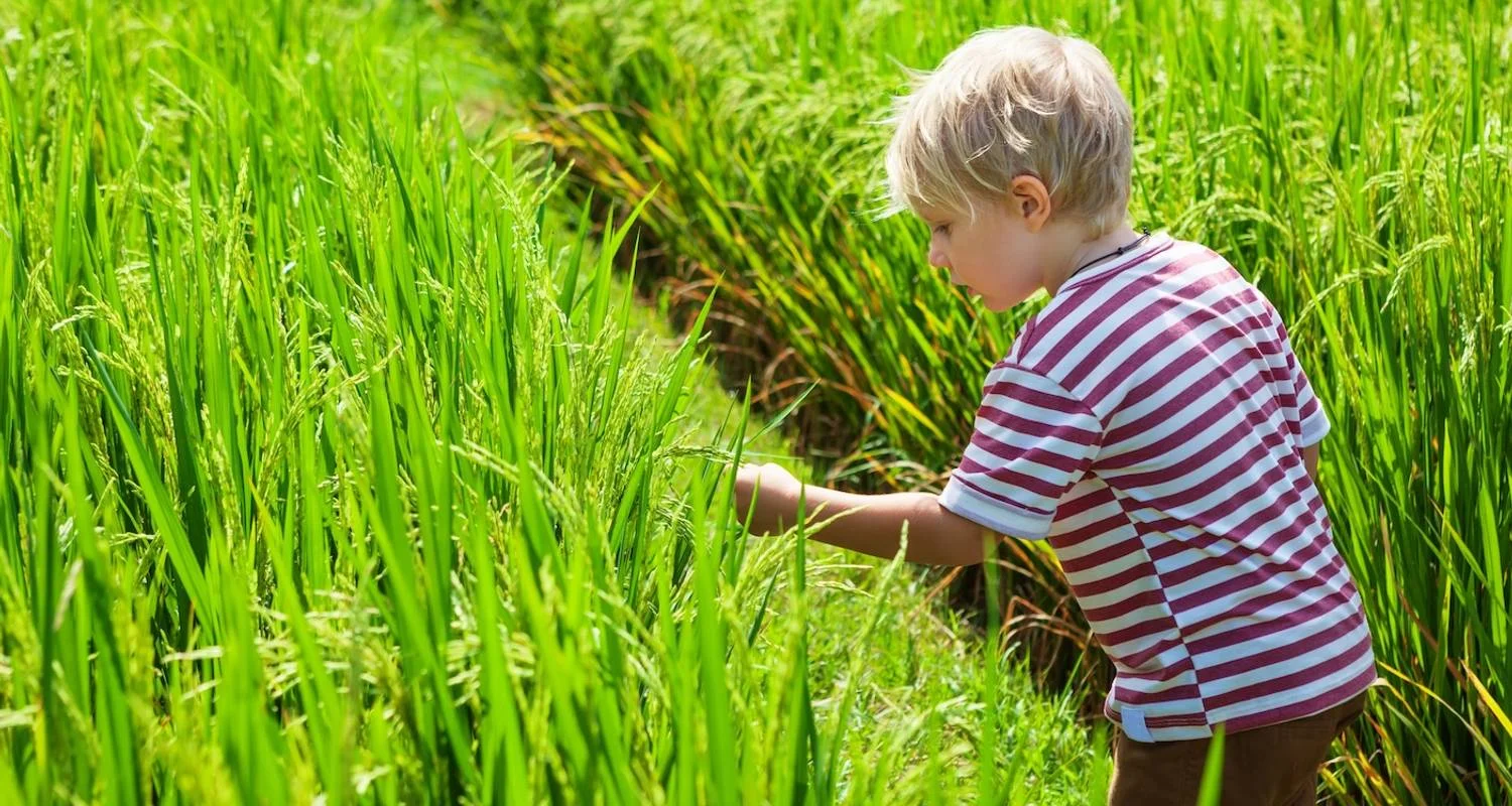 Explore Luxury & Private Trekking in Pu Luong for 3 days with Footsteps Indochina Travel and discover unforgettable experiences - Photo 2