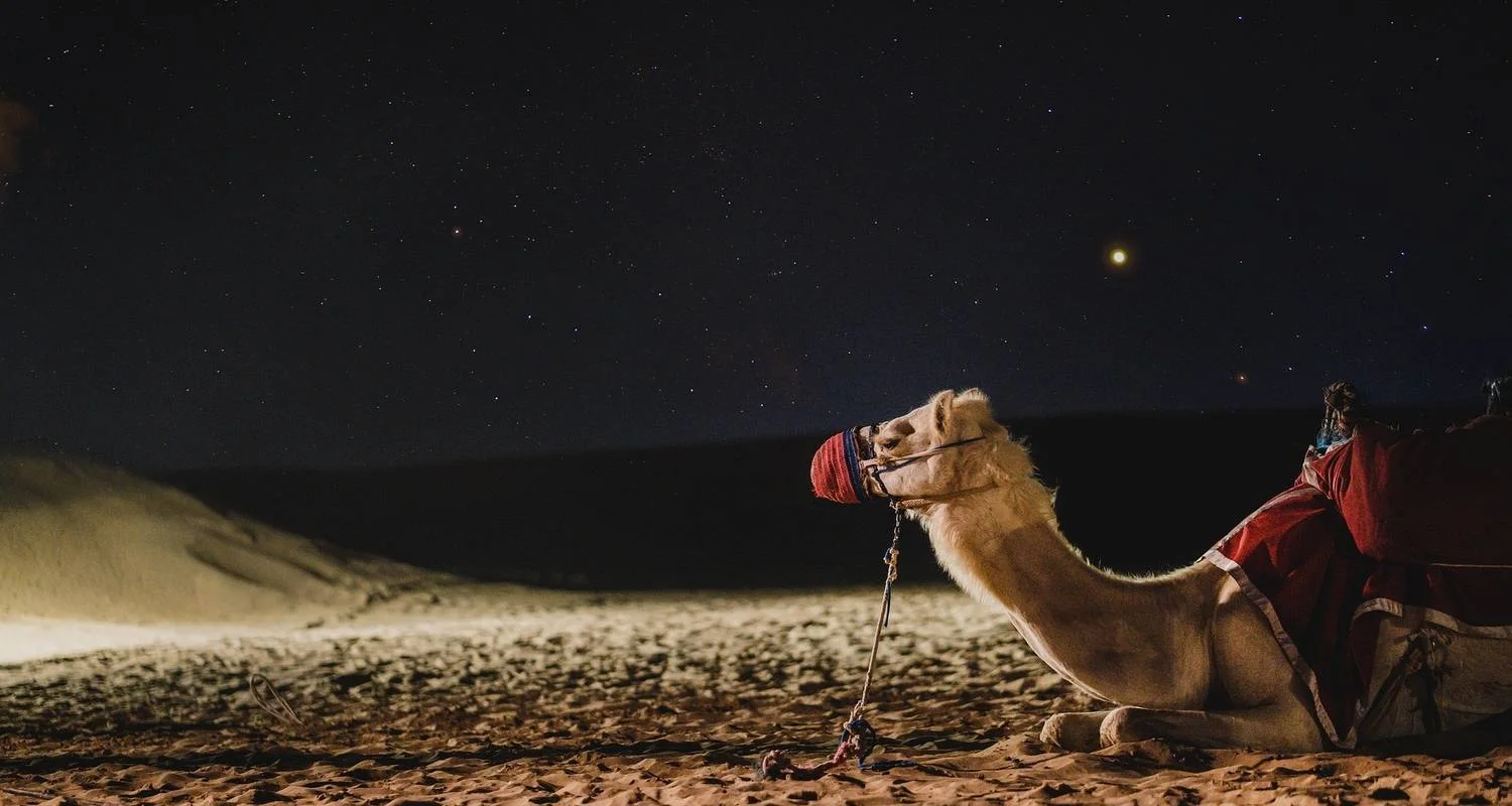 Explore 14 Days Tour from Cairo to Dubai. for 14 days with Remaz Tours GmbH and discover unforgettable experiences - Photo 2