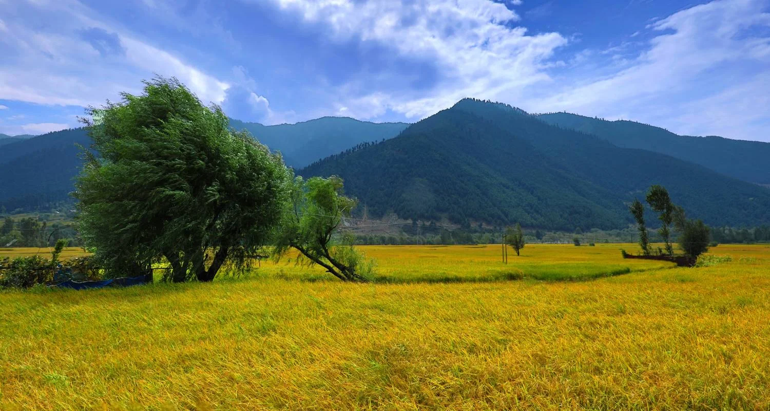 Explore Majestic Sonamarg: A Day Trip to the Meadow of Gold from Srinagar for 1 days with Agora Voyages OPC Pvt Ltd and discover unforgettable experiences - Photo 2