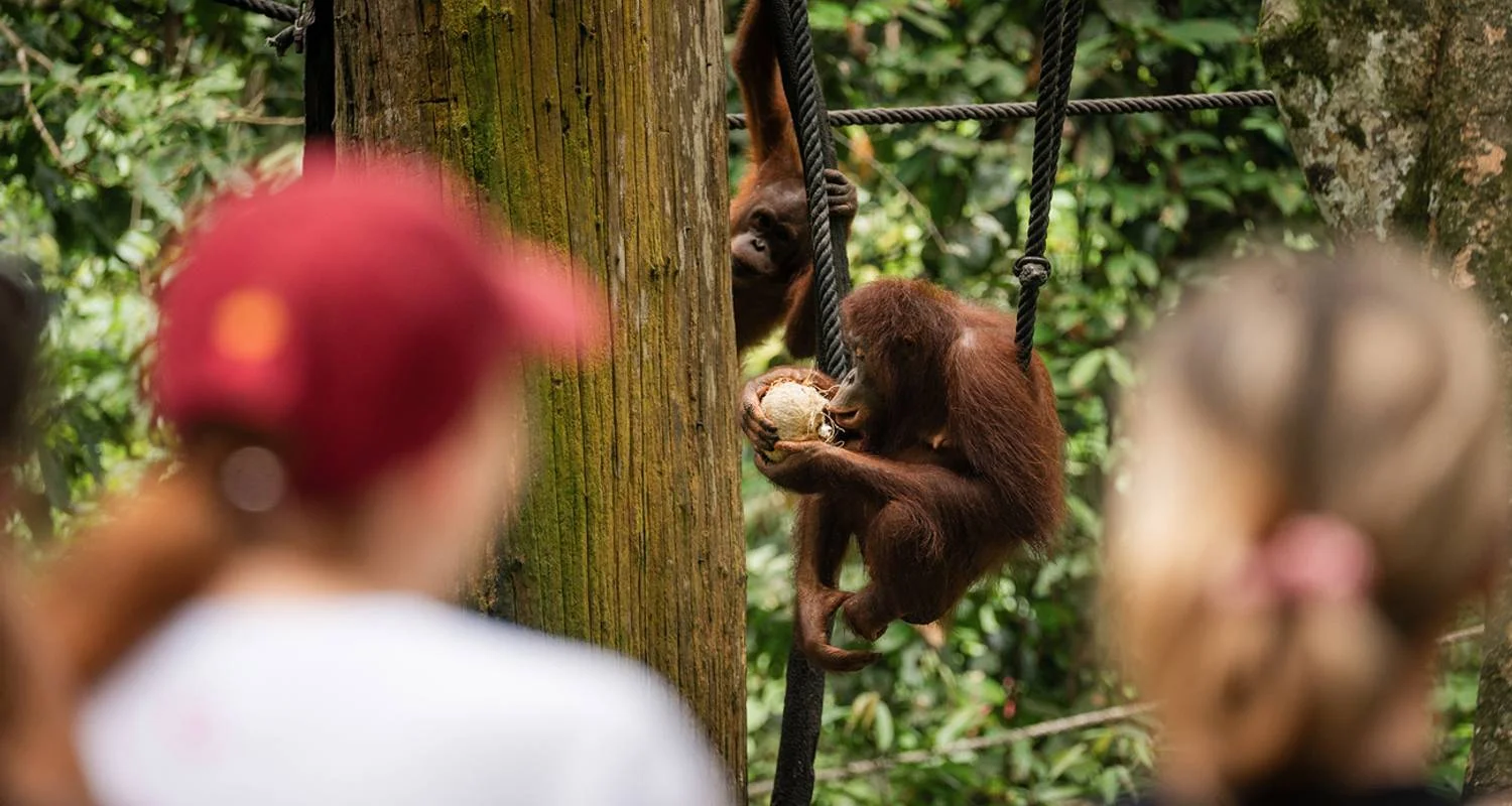 Explore Borneo Adventure for 9 days with Contiki and discover unforgettable experiences - Photo 2