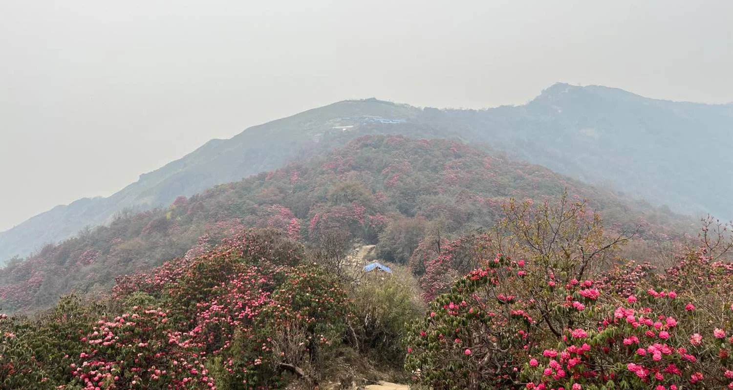 Explore Mardi Himal Trek from Pokhara - 5 Days for 5 days with Glorious Himalaya Trekking Pvt. Ltd. and discover unforgettable experiences - Photo 2