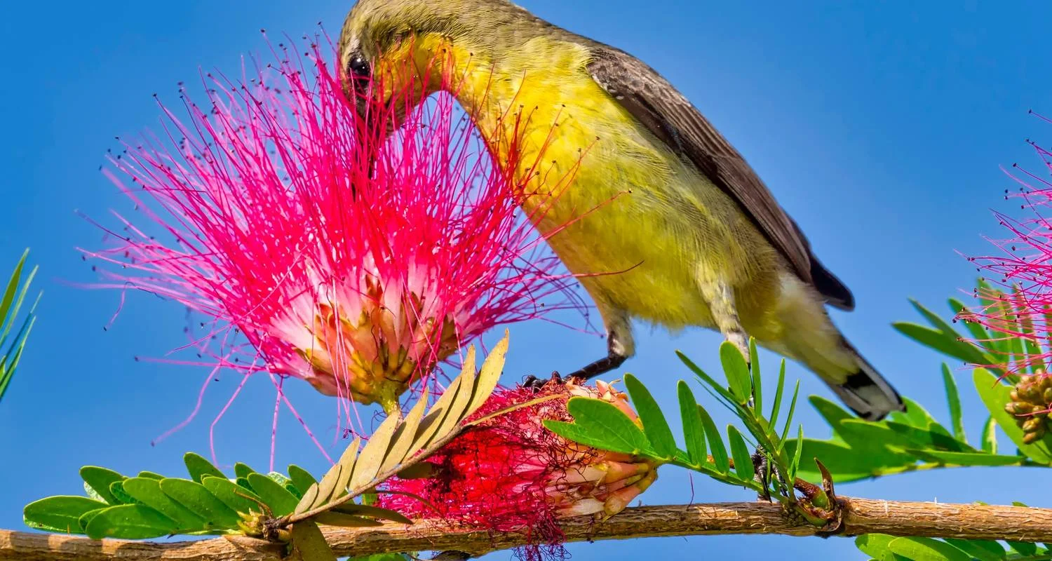 Explore 4-Day Bardia National Park Tour for 4 days with Alpine Luxury Treks Pvt Ltd and discover unforgettable experiences - Photo 2