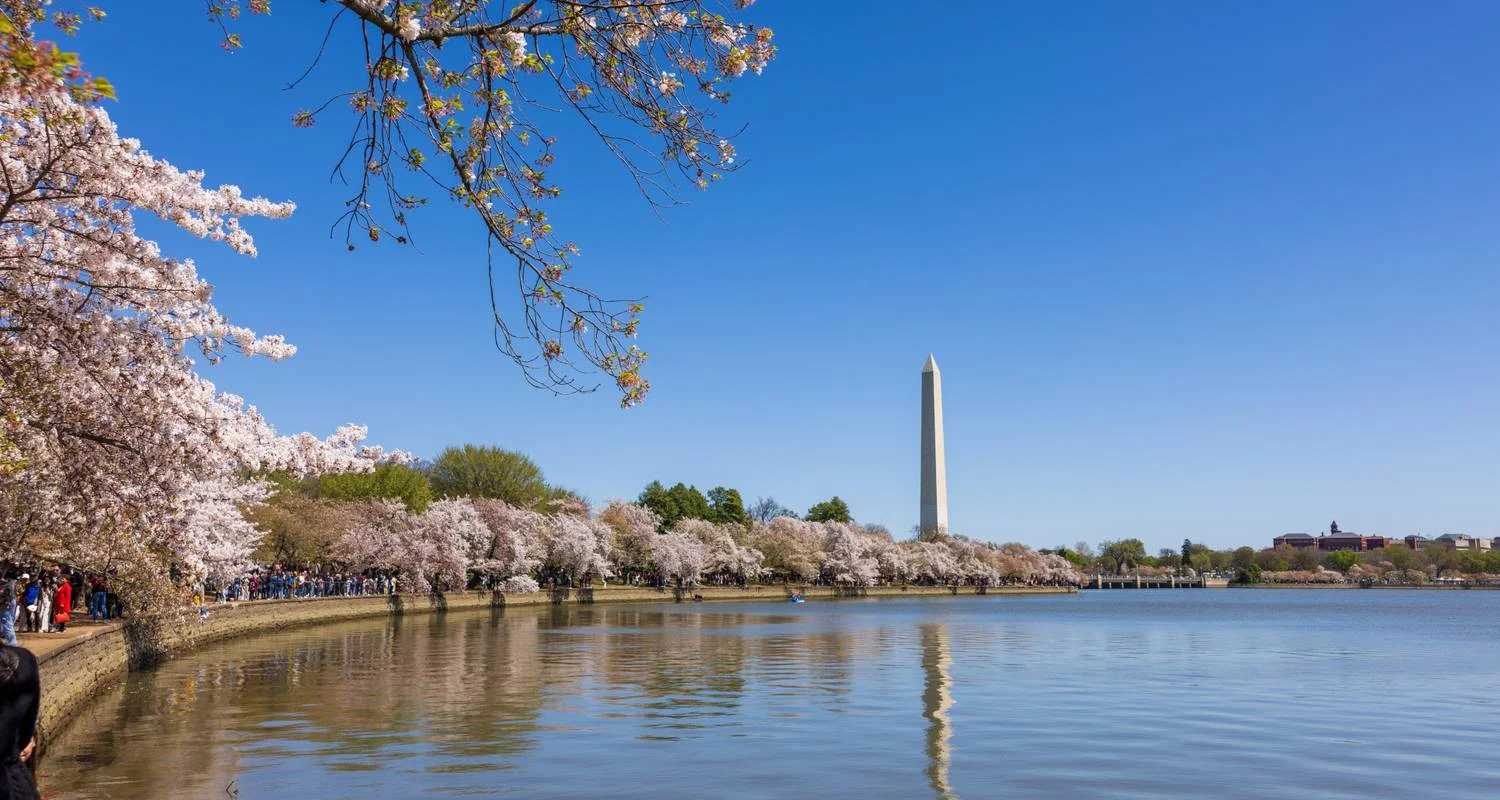 Explore American Gateway – 4 Days for 4 days with Amadeo and discover unforgettable experiences - Photo 2