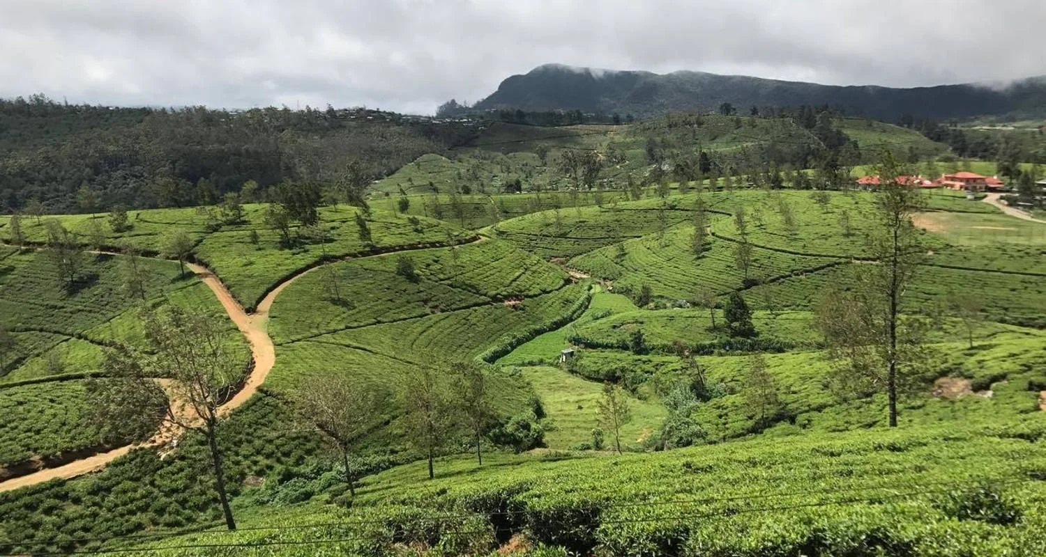 Explore 6 Days and 5 Nights Tour in Sri Lanka - Free Upgrade to Private Tour for 6 days with Beauty Lanka Travels and discover unforgettable experiences - Photo 2