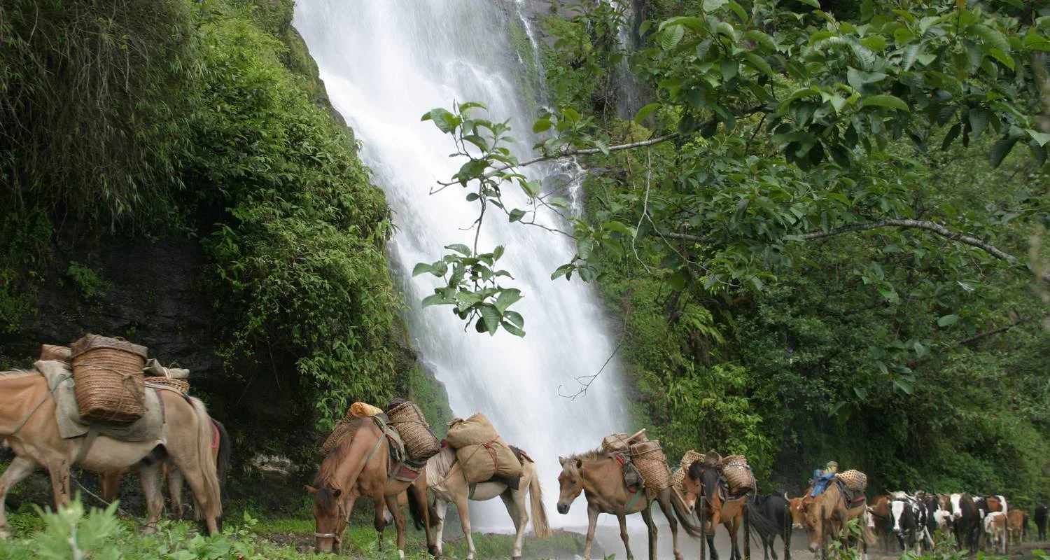 Explore Country Vacation - Bhutan Scenic Tour for 9 days with Bhutan Best Inbound Tour and discover unforgettable experiences - Photo 2