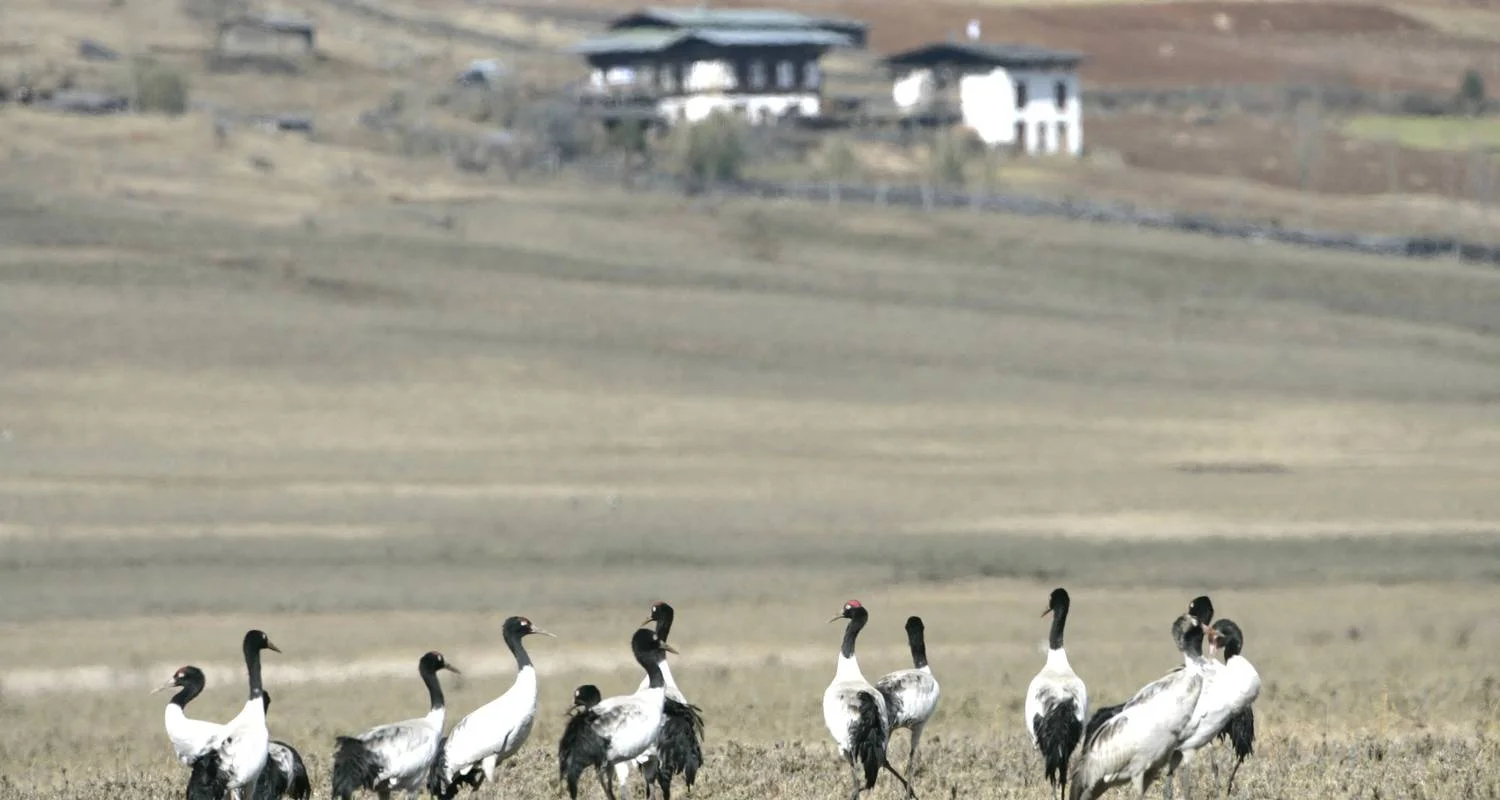 Explore Bhutan Family Vacation for 6 days with Bhutan Best Inbound Tour and discover unforgettable experiences - Photo 2