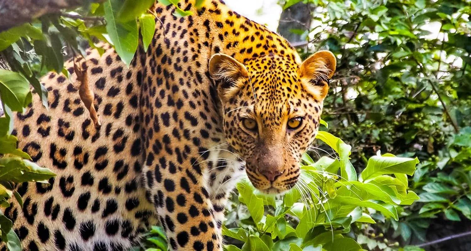 Explore Addo Adventure for 17 days with Chamaeleon and discover unforgettable experiences - Photo 2