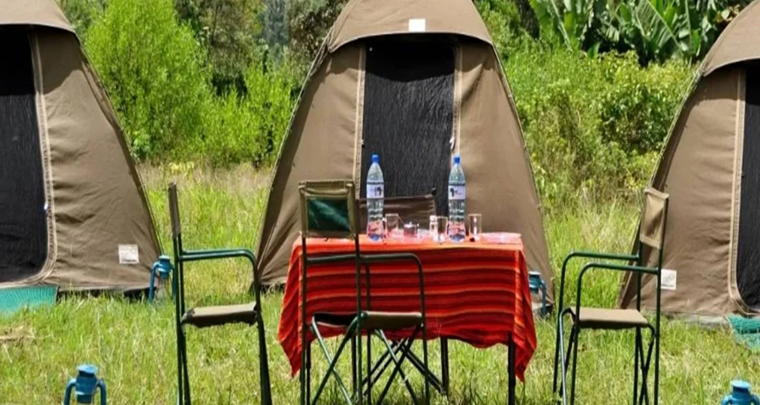 Explore Discover the Ultimate 6-Day Camping Safari in Tanzania – Best of the Best for 2025/2026 for 6 days with Africa Natural Tours and discover unforgettable experiences - Photo 2
