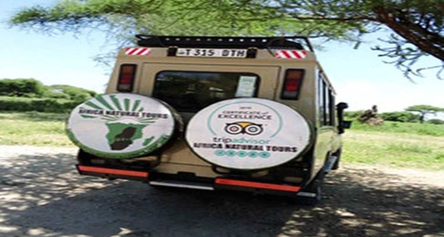 Explore Discover Our Top Best 4-day Tanzania joining group safari: The world's Famous Tanzania Group Safari for 4 days with Africa Natural Tours and discover unforgettable experiences - Photo 2