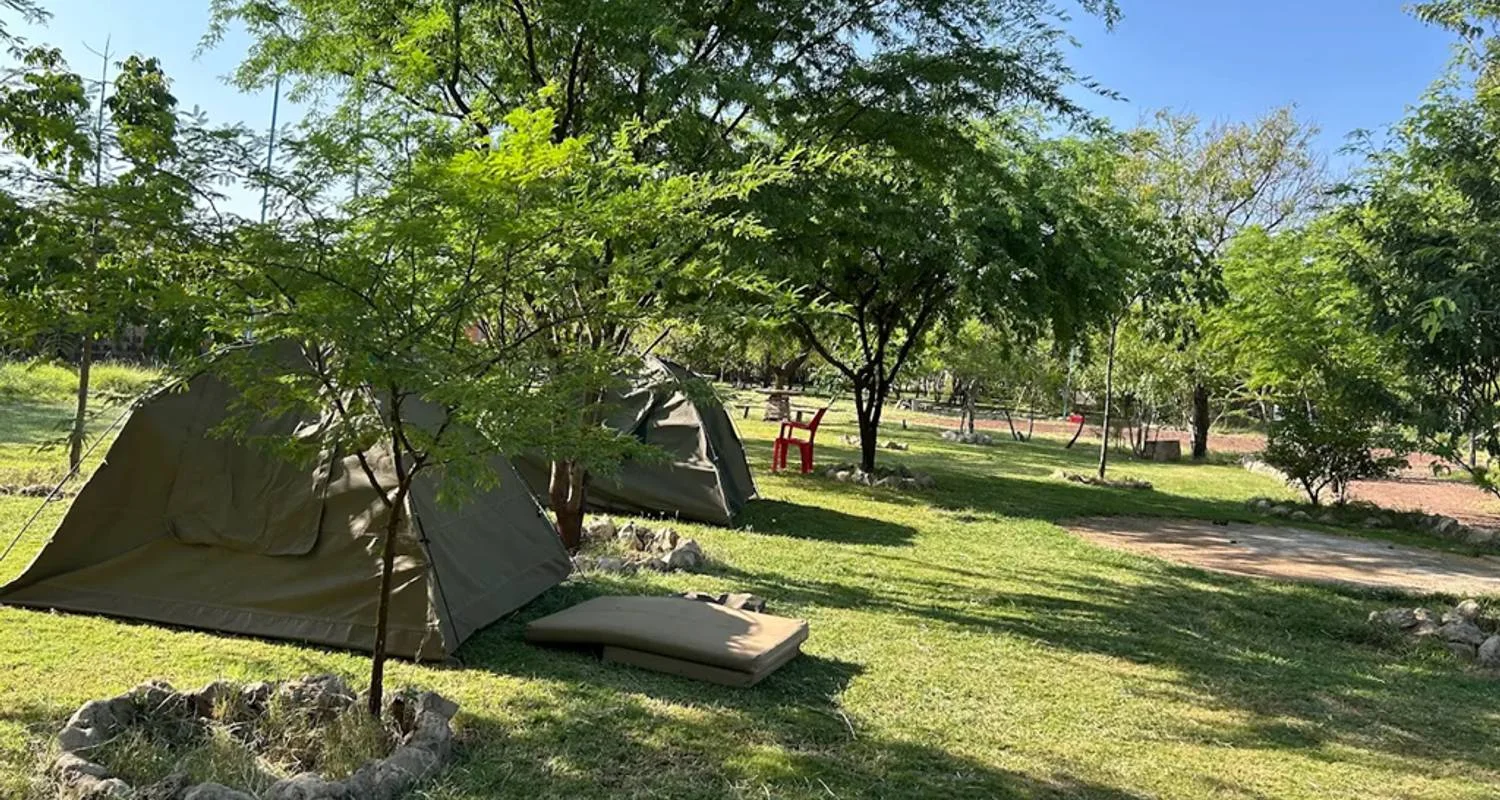 Explore The Top Best 14 Days Africa Safari in Kenya & Tanzania 2025–2026: All-Inclusive  African Safari Package of Wildlife, Culture & Adventure for 14 days with Africa Natural Tours and discover unforgettable experiences - Photo 2