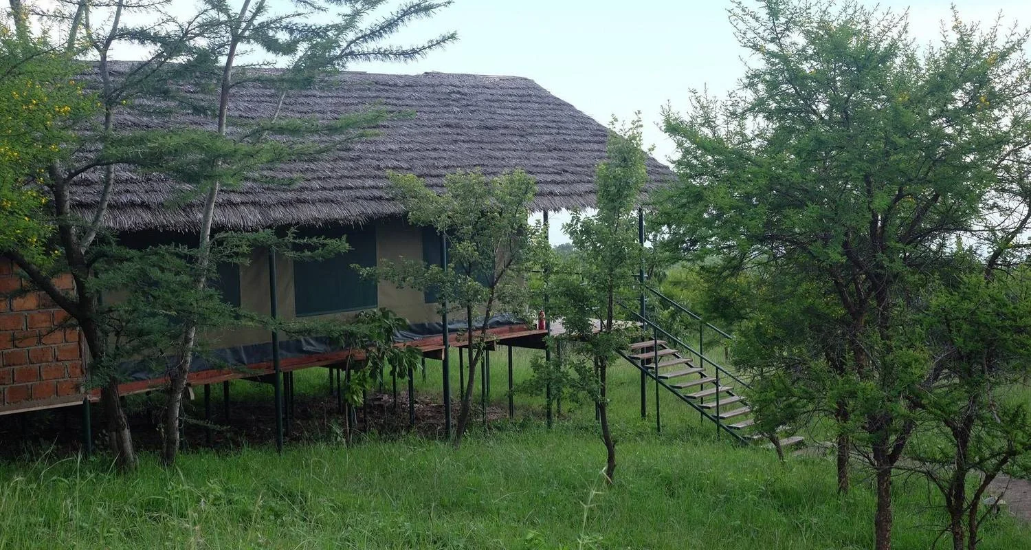 Explore 7 Days Private Budget North Serengeti Migration Safari from Dar-Es-Salaam in Tanzania for 7 days with Africa Natural Tours and discover unforgettable experiences - Photo 2