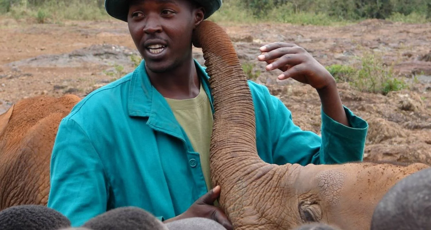 Explore CLASSIC JOURNEYS KIFARU AND BEACH SAFARI for 10 days with Classic Journeys Africa Ltd and discover unforgettable experiences - Photo 2