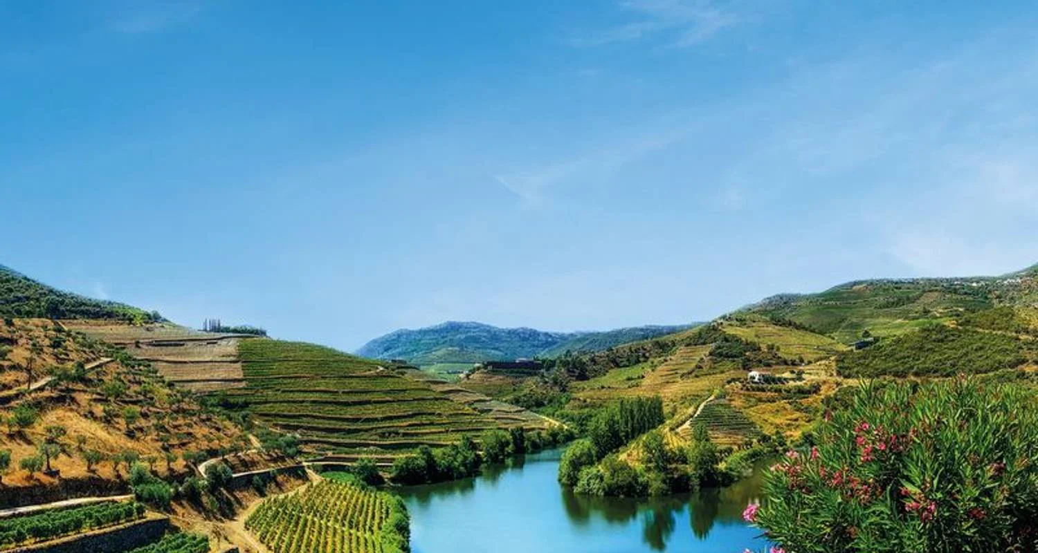 Explore Porto and the Douro Valley - AMALIA RODRIGUES for 6 days with CroisiEurope River Cruises and discover unforgettable experiences - Photo 2
