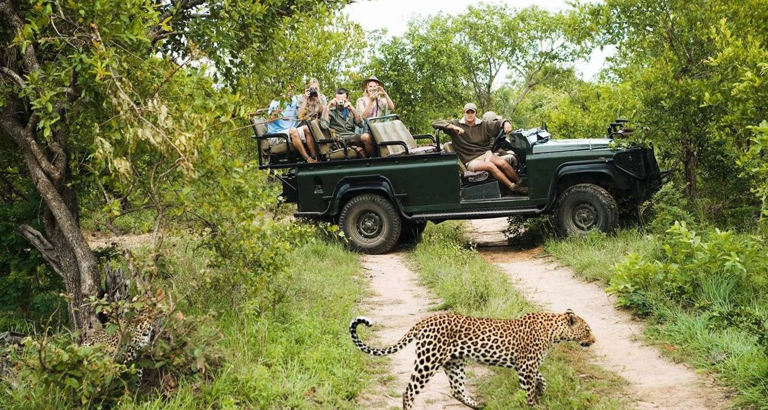 Explore Kruger Safari with Eswatini (Start Johannesburg (until 22 December 2025)) for 7 days with Contiki and discover unforgettable experiences - Photo 2