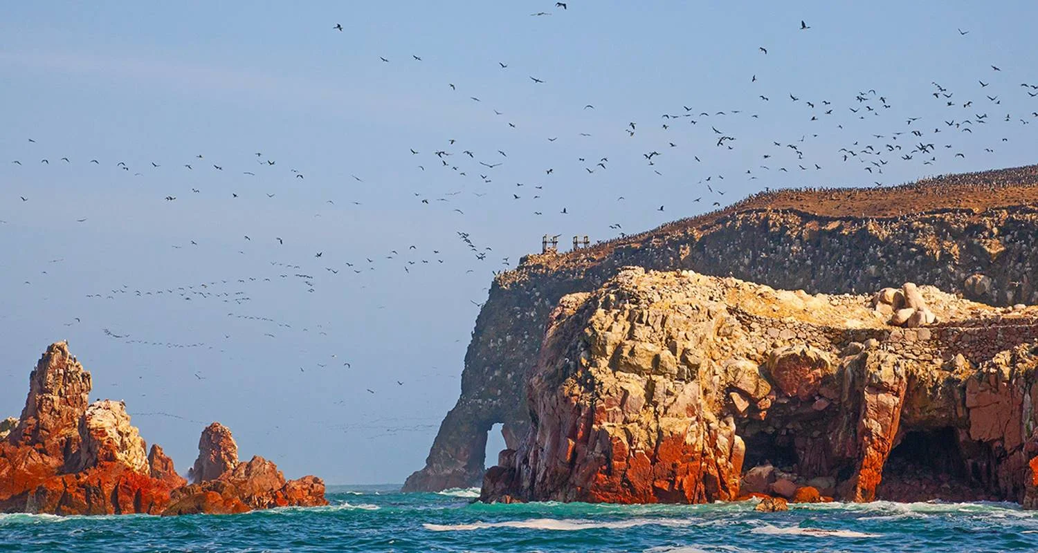 Explore Paracas - Desert and Sea for 4 days with Gebeco and discover unforgettable experiences - Photo 2