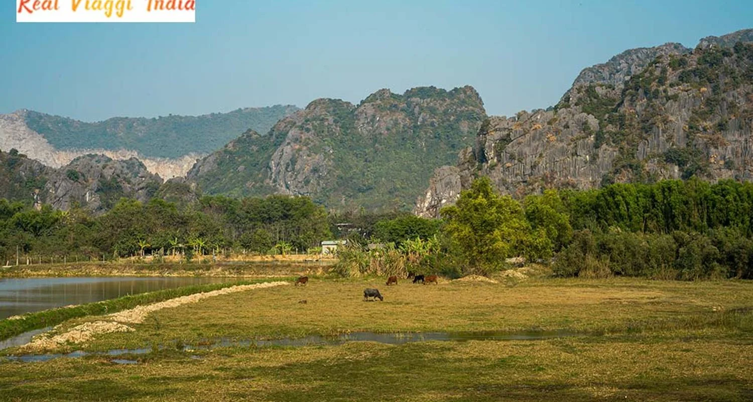 Explore 2 Night 3 Days Kabini Tour From Bangalore for 3 days with Real viaggi india  and discover unforgettable experiences - Photo 2