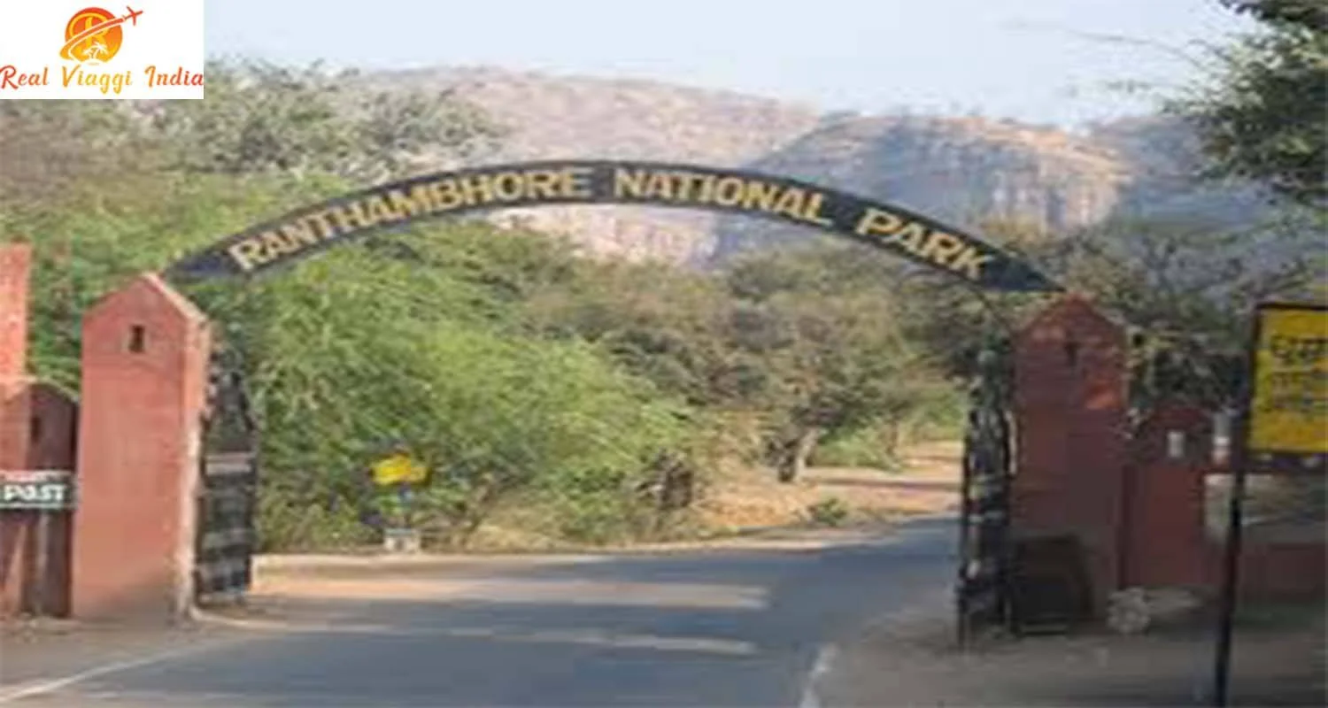 Explore 18 days North India  Wildlife & Goa Beach for 18 days with Real viaggi india  and discover unforgettable experiences - Photo 2