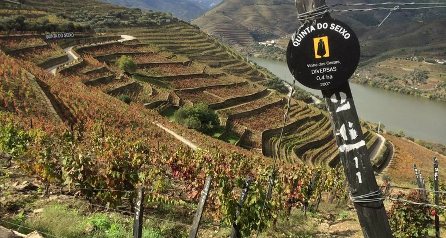 Explore Best of Portugal Singles Vacation for 10 days with Best Single Travel and discover unforgettable experiences - Photo 2