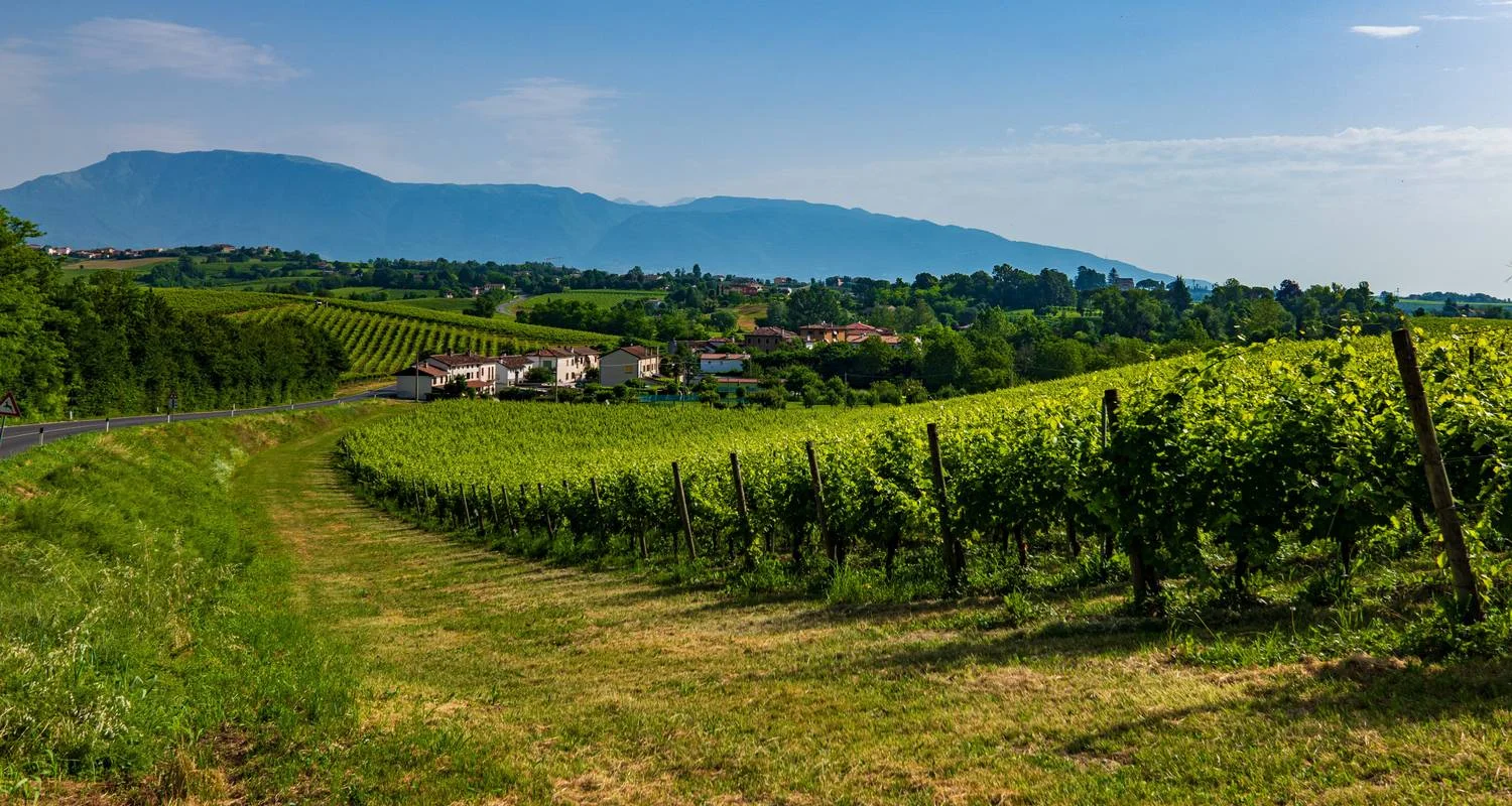 Explore Cycling the Prosecco Hills and Vineyards - Classic Self-Guided for 8 days with BikesPlus Travel and discover unforgettable experiences - Photo 2