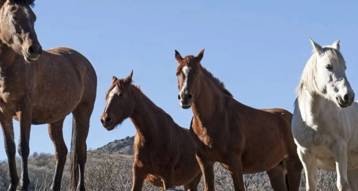 Explore Catalunya North Gravel Self-Guided for 5 days with Eat Sleep Cycle and discover unforgettable experiences - Photo 2