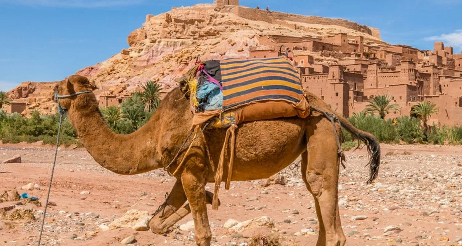 Explore 3-Days Tour From Marrakech To Merzouga Dunes & Luxury Desert Camp for 3 days with Explore Morocco Journeys and discover unforgettable experiences - Photo 2