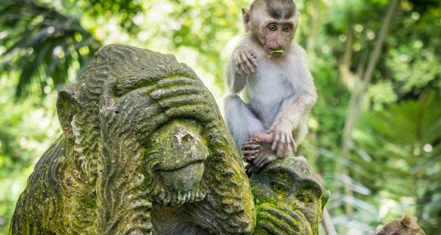 Explore Timeless Bali Escape in 5 Days - Private Tour for 5 days with Realistic Asia and discover unforgettable experiences - Photo 2