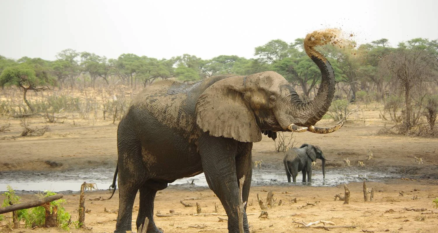 Explore Kafue National Park from South to North for 11 days with Adventure Purists Ltd. and discover unforgettable experiences - Photo 2