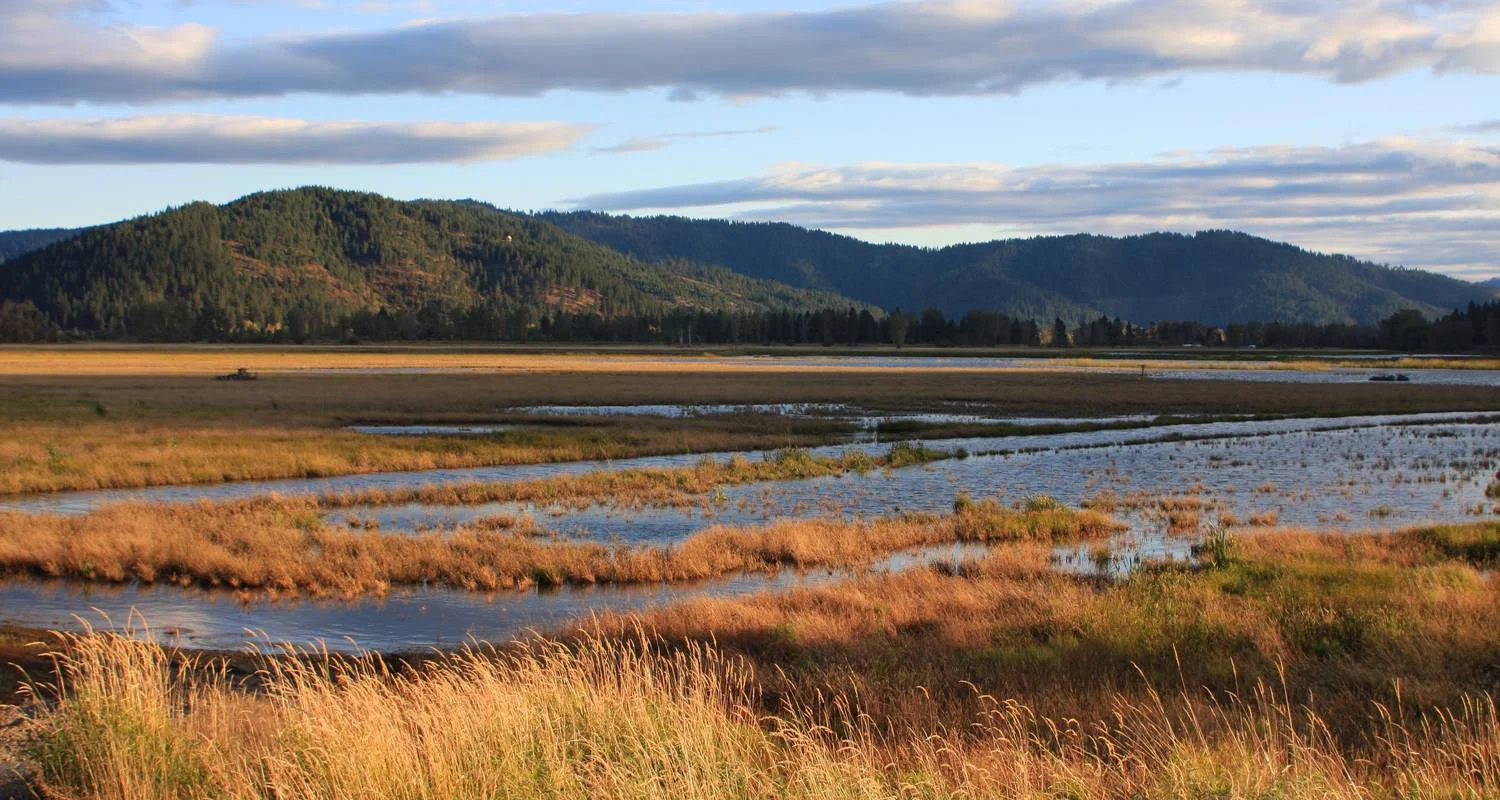 Explore Trail of the Coeur d'Alenes Bike Tour for 6 days with Bicycle Adventures and discover unforgettable experiences - Photo 2
