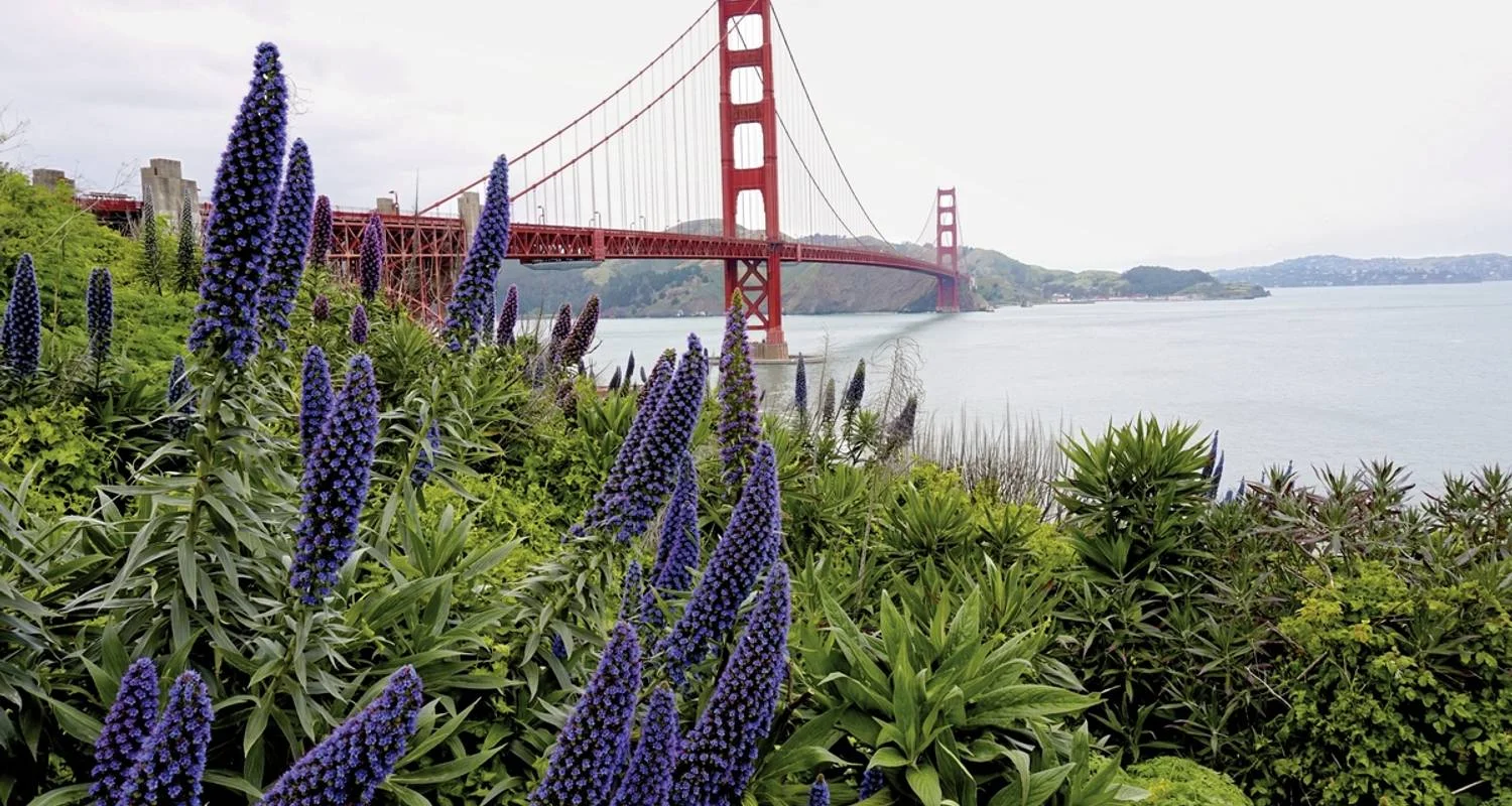 Explore Wild coast & majestic forests for 16 days with DERTOUR and discover unforgettable experiences - Photo 2