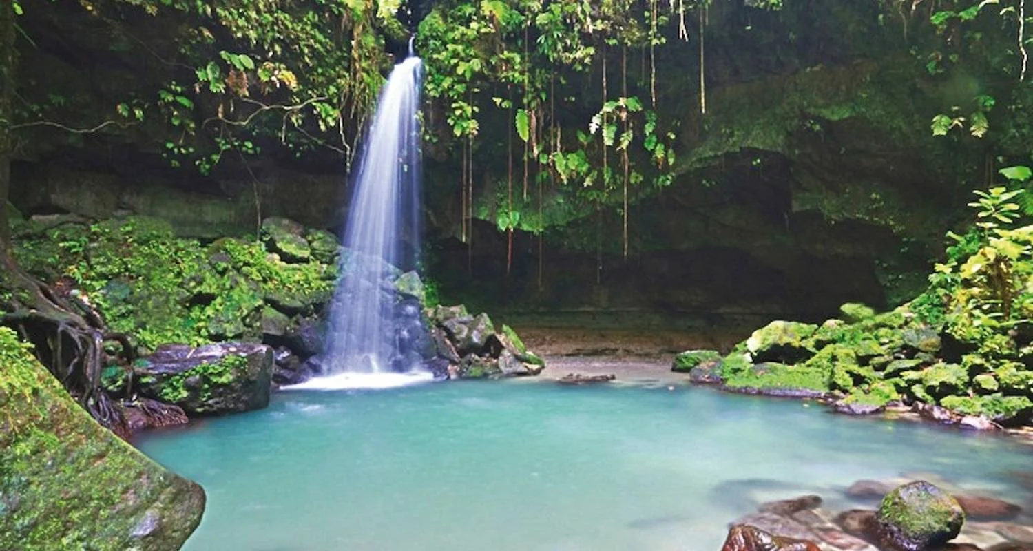 Explore Discover Dominica's treasures for yourself for 8 days with DERTOUR and discover unforgettable experiences - Photo 2