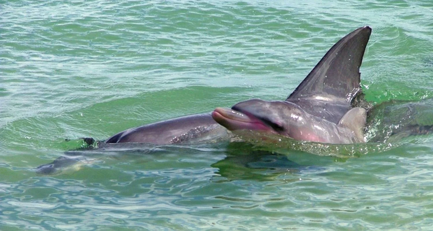 Explore West Coast on your own (Perth - Broome, 11 nights) for 12 days with DERTOUR and discover unforgettable experiences - Photo 2