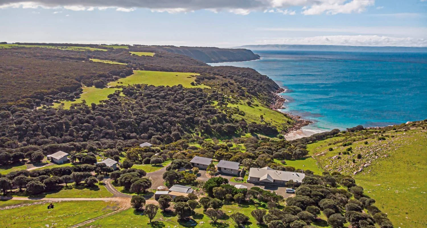 Explore Sea Dragon Kangaroo Island 4 Days for 4 days with DERTOUR and discover unforgettable experiences - Photo 2