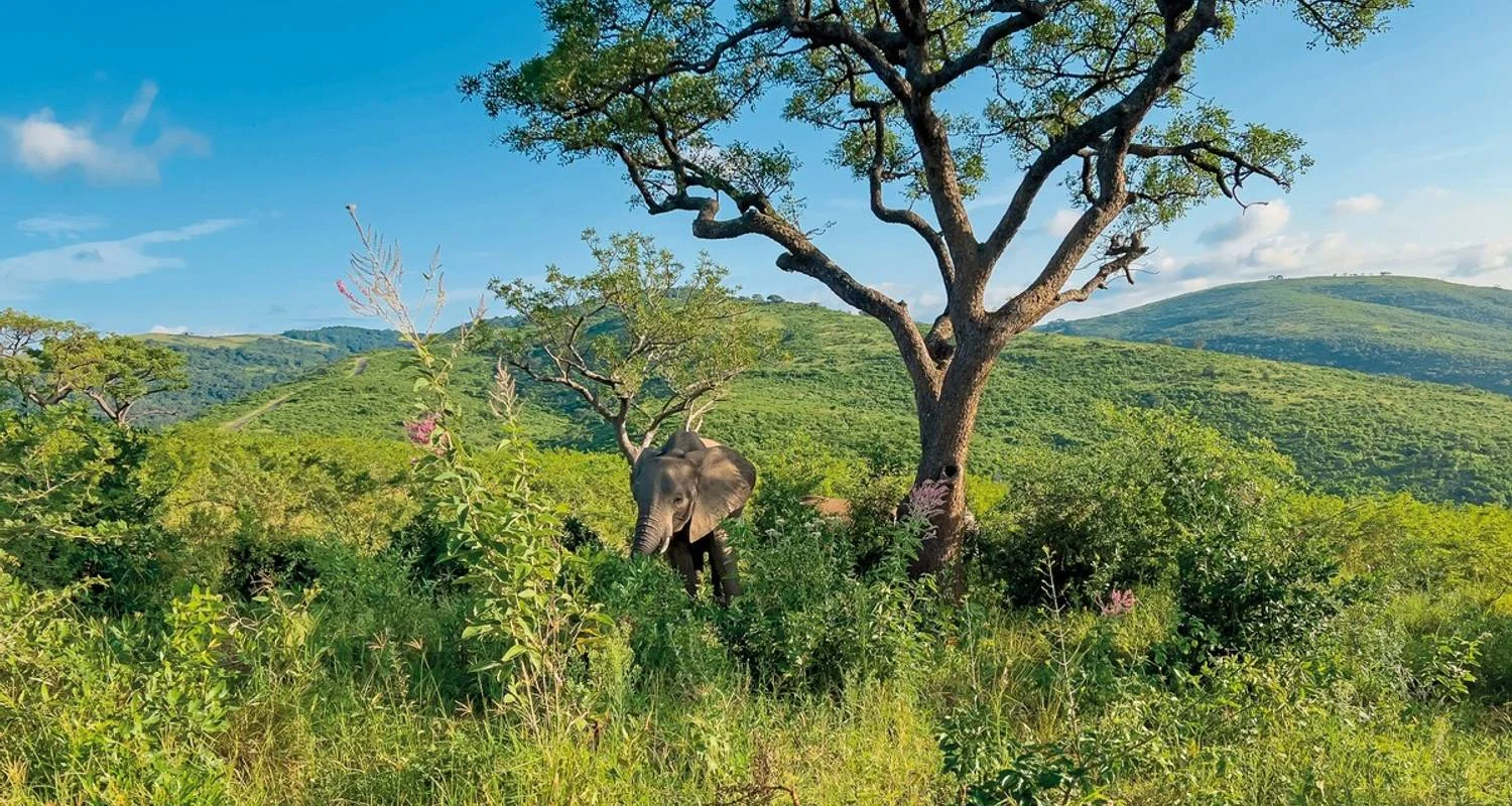 Explore South Africa A La Carte - Small Group Tour for 14 days with DERTOUR and discover unforgettable experiences - Photo 2